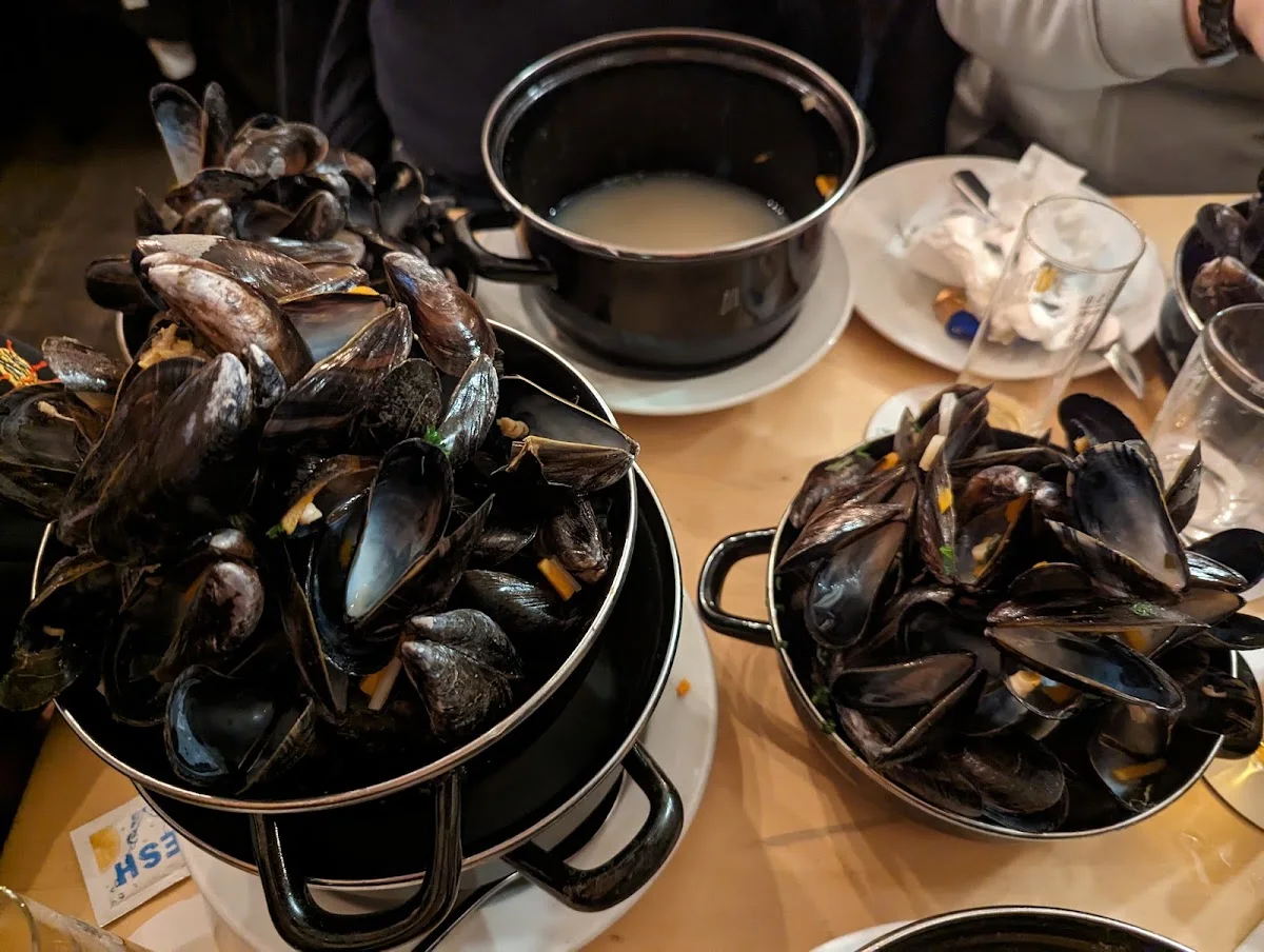 Bier-Esel – Muscheln in Köln, Nordrhein-Westfalen