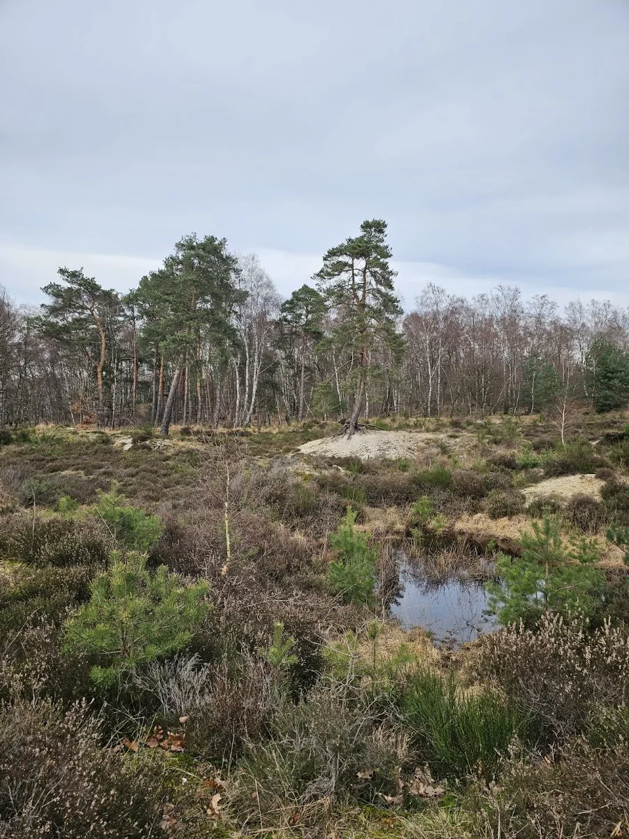 Wahner Heide – Telegraphenberg in Rösrath, Nordrhein-Westfalen