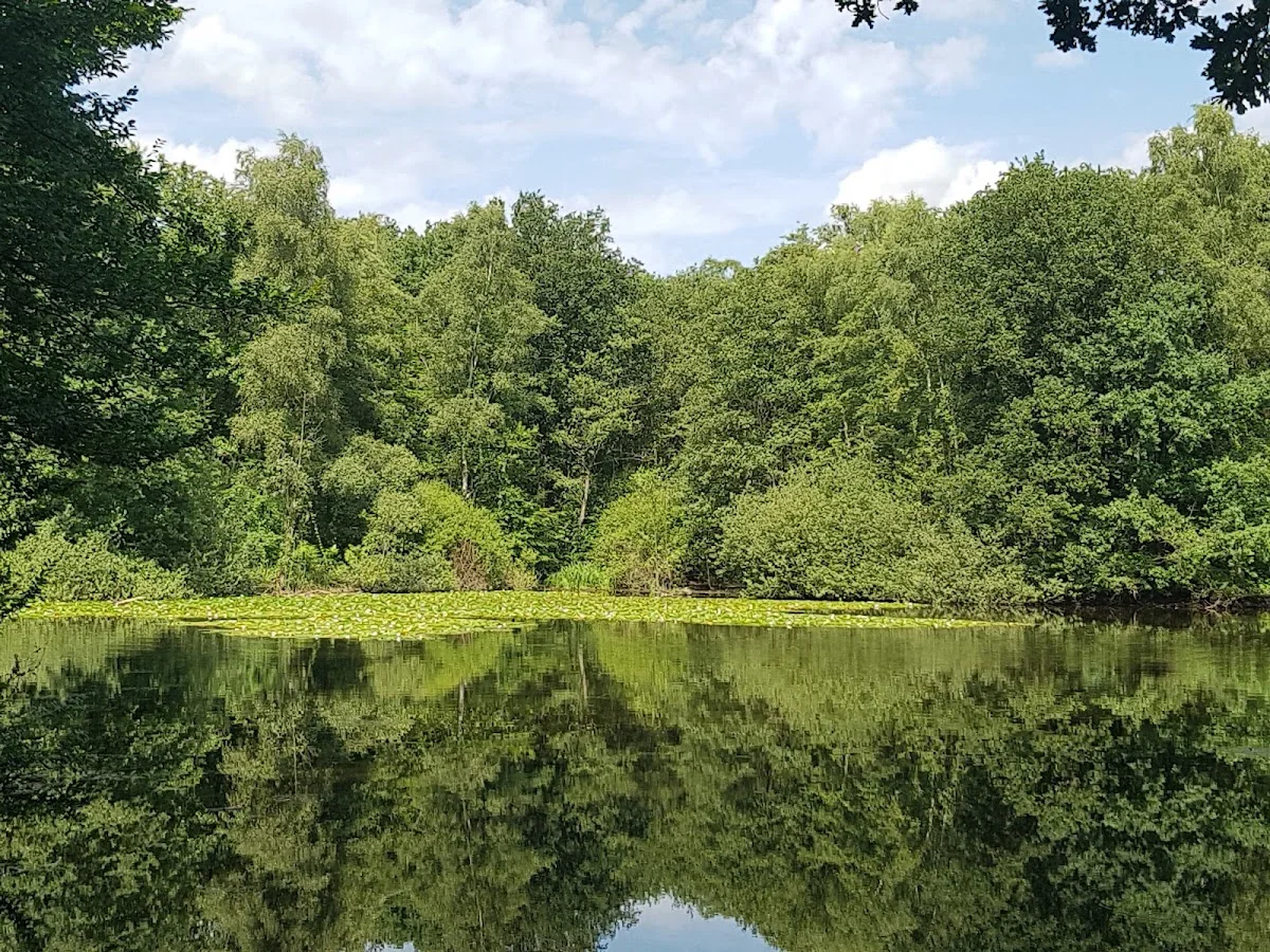 Wahner Heide – Leyenweiher in Rösrath, Nordrhein-Westfalen