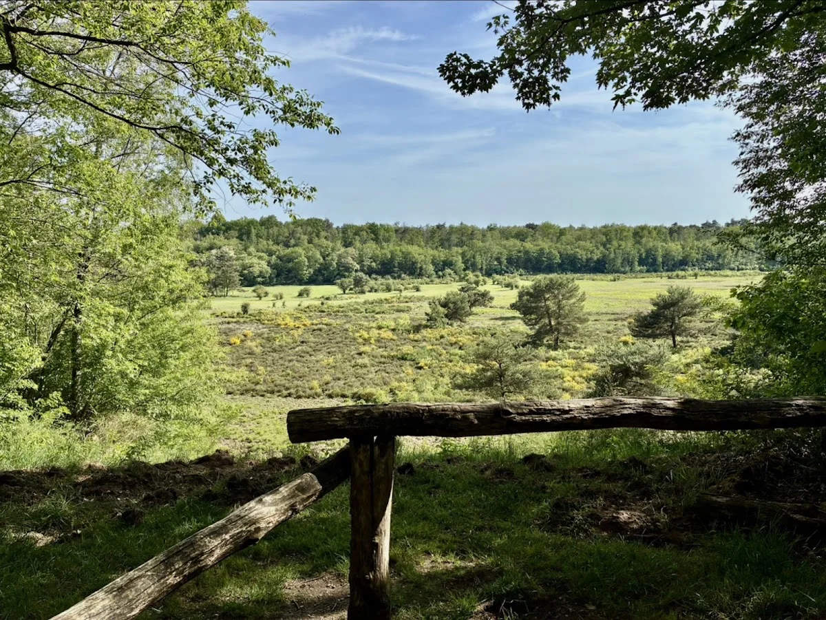 Wahner Heide – Aussichtspunkt Pionierbecken in Rösrath, Nordrhein-Westfalen