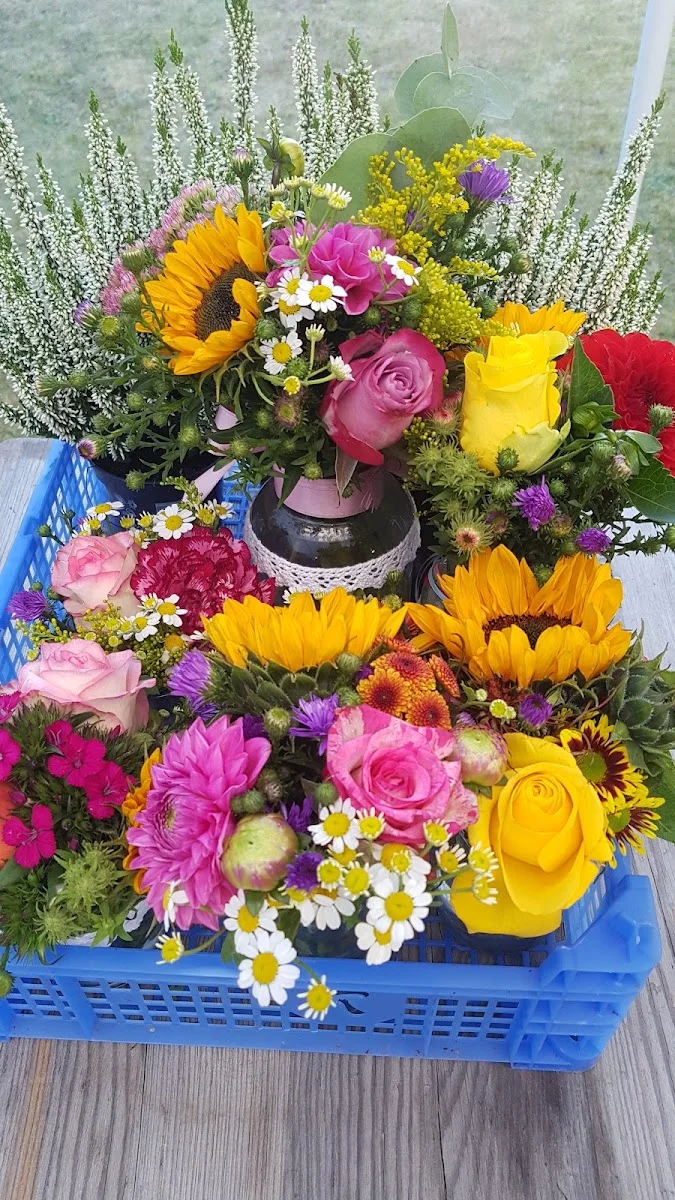 Elfengarten – Besucherfoto: Doreen P in Dormagen, Nordrhein-Westfalen