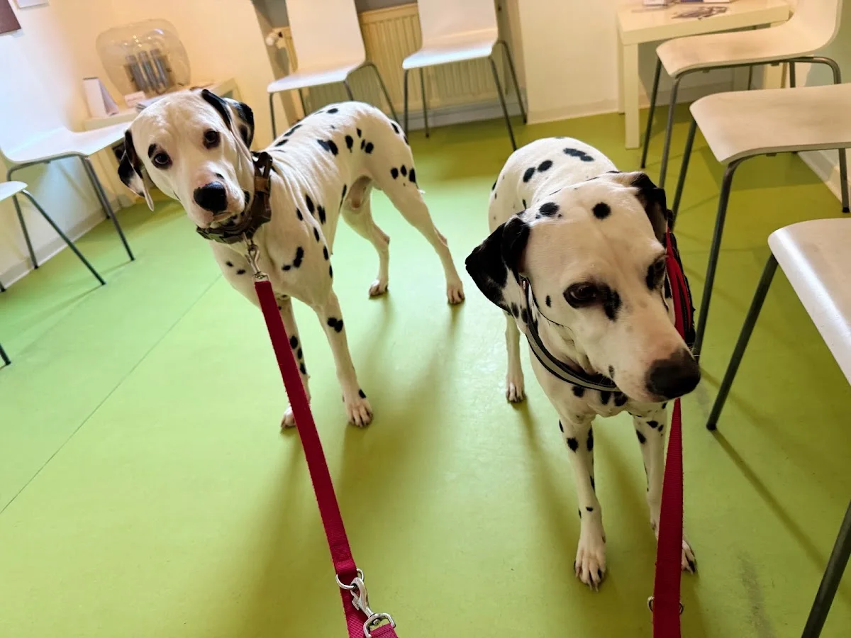 Tierarztpraxis Dr. med. vet. Benjamin Winkler (GPCert Derm) – Tierarzt in Ratingen, Nordrhein-Westfalen