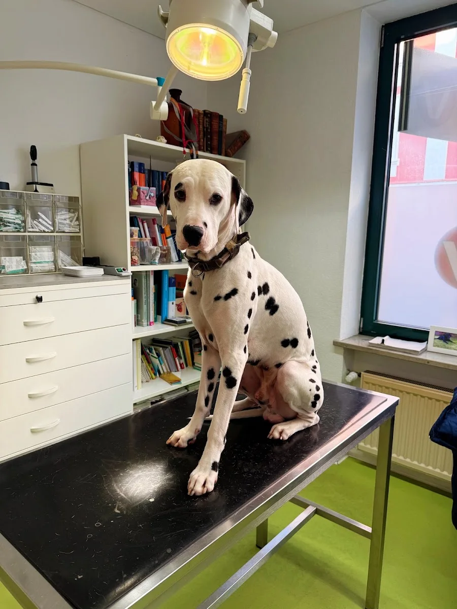 Tierarztpraxis Dr. med. vet. Benjamin Winkler (GPCert Derm) – Hund in Ratingen, Nordrhein-Westfalen