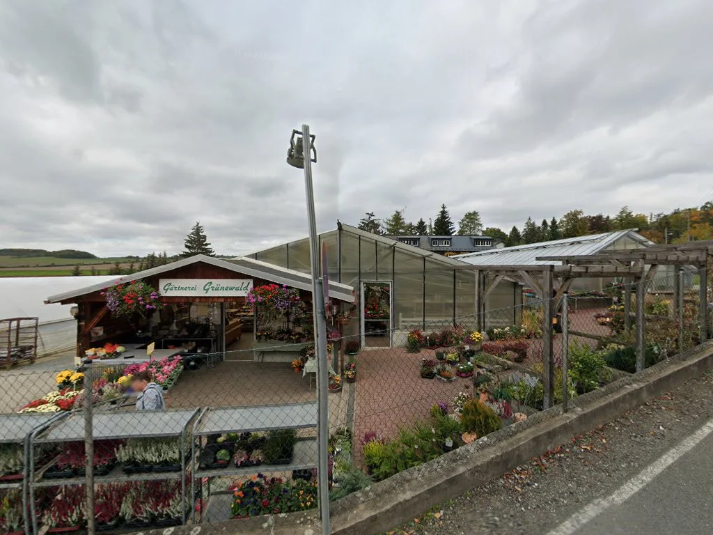 Gärtnerei Grünewald – Street View & 360°-Fotos in Plauen, Sachsen