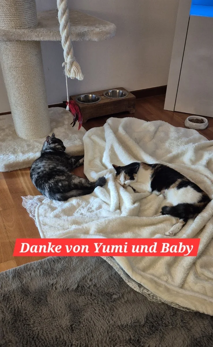 Kleintierpraxis Botterweck – Besucherfoto: Bianka Johanna Mühlenberg in Duisburg, Nordrhein-Westfalen
