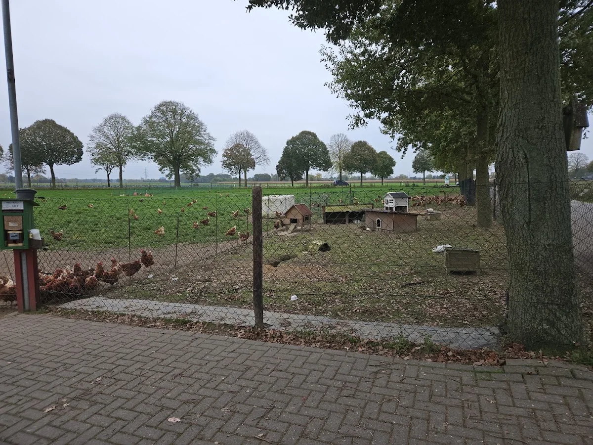 Mies van der Rohe Campus GmbH & Co. KG – Besucherfoto: maschellodioma in Krefeld, Nordrhein-Westfalen