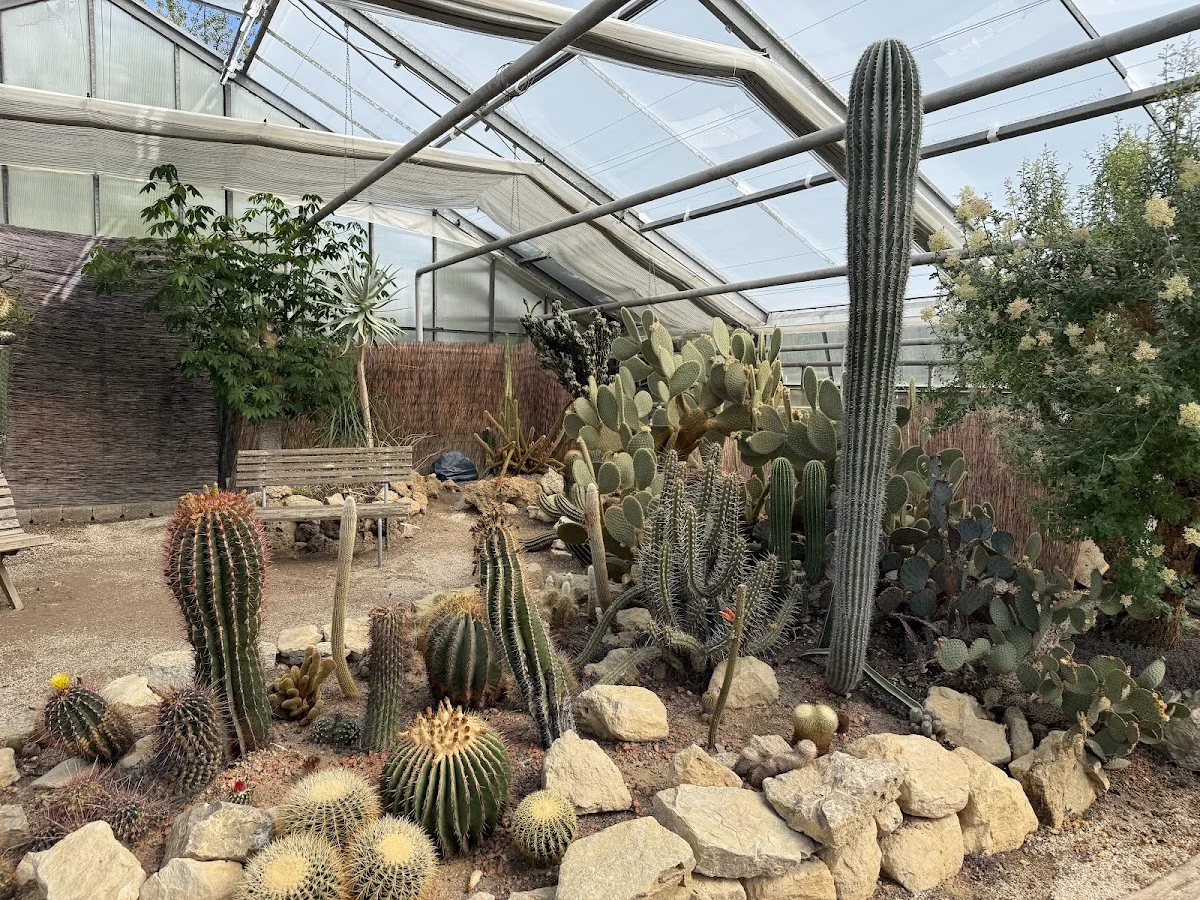 Kakteen-Haage – Garten in Erfurt, Thüringen