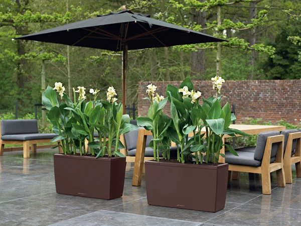 Blumenideen Dannhaus – Garten in Herford, Nordrhein-Westfalen