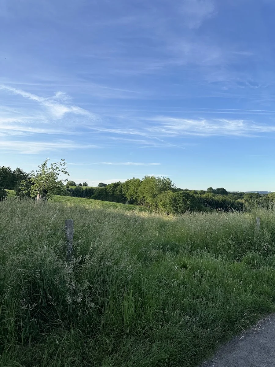 Staumauer Wahnbachtalsperre – Besucherfoto von Ta Wik in Siegburg, Nordrhein-Westfalen