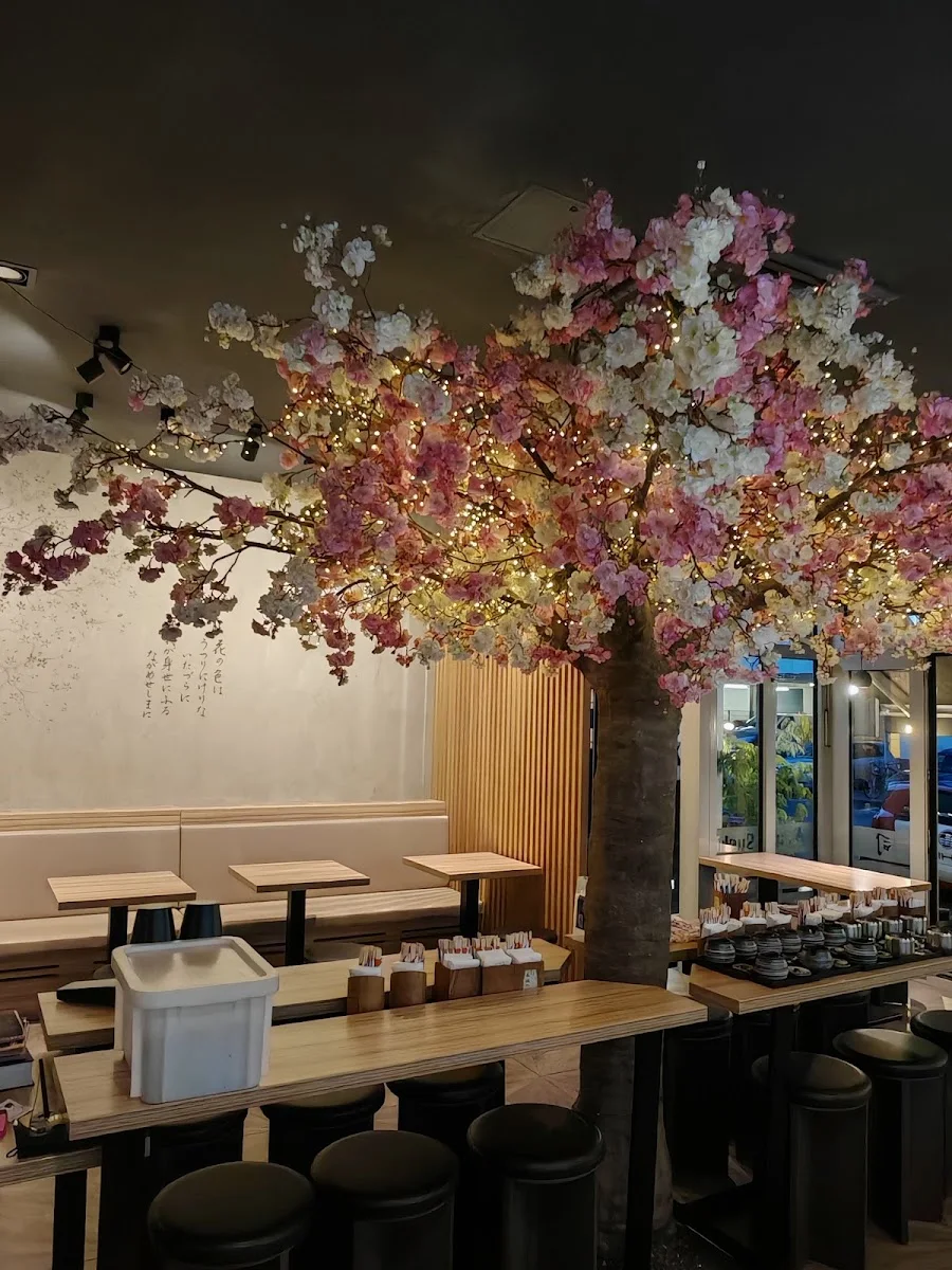 Any Sushi Berlin-Steglitz – Atmosphäre in Berlin