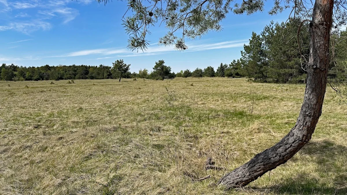 Südliche Fröttmaninger Heide – Besucherfoto von L-E-O-N (Glückskeks) in Garching bei München, Bayern