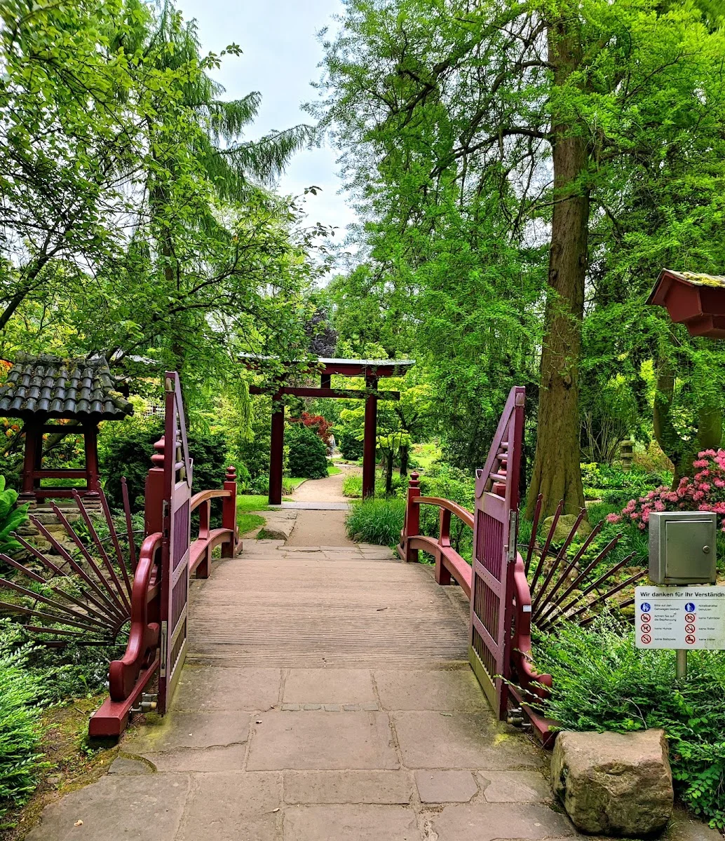 Carl-Duisberg-Park – Japanischer Garten Leverkusen in Leverkusen, Nordrhein-Westfalen