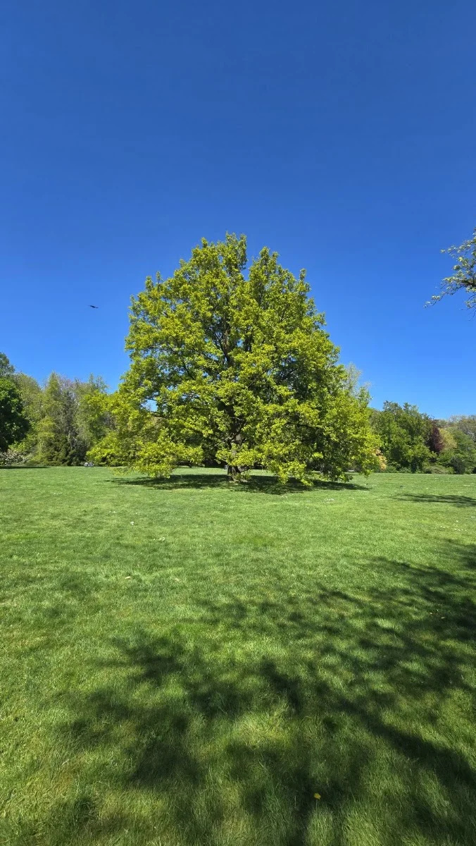 Carl-Duisberg-Park – Besucherfoto von Pawel aus Düsseldorf in Leverkusen, Nordrhein-Westfalen