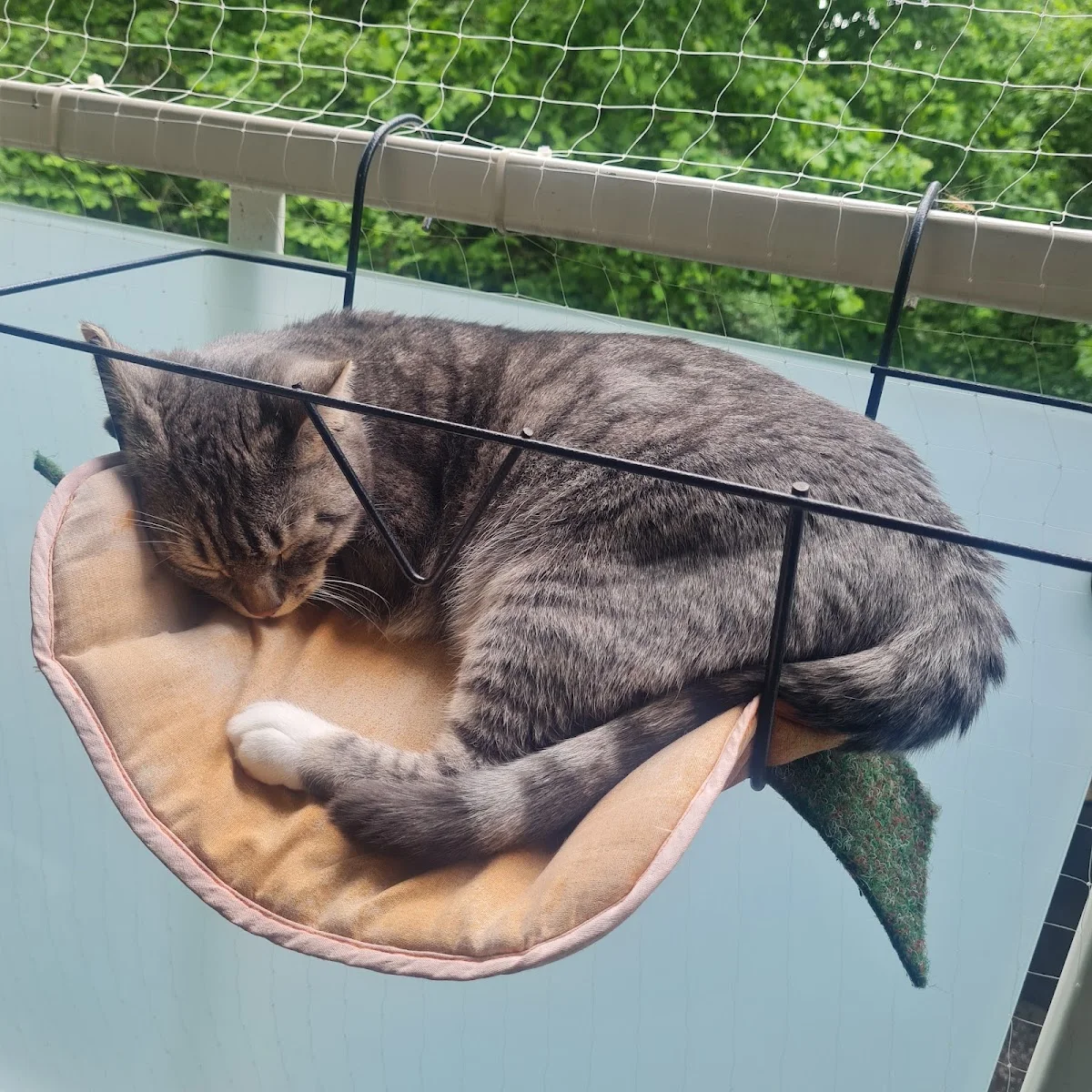 Tierarztpraxis Dr. Fenn – Besucherfoto von Rebecca Pini in Offenbach am Main, Hessen