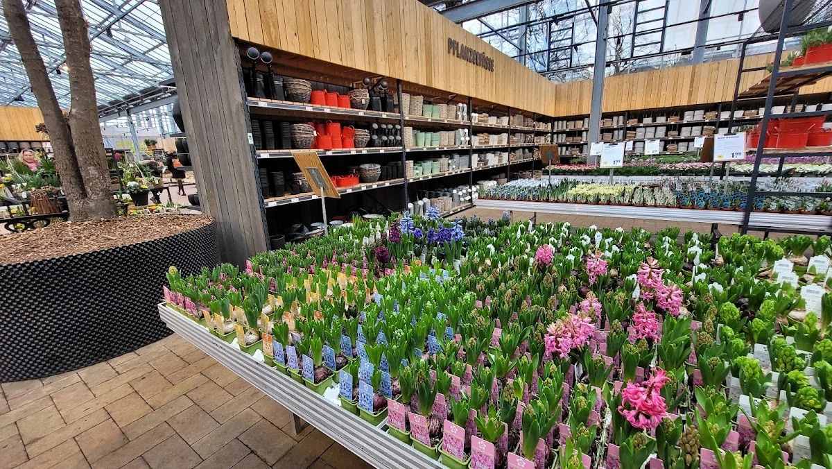 Garten-Center Kremer GmbH – Besucherfoto von Patrick in Remscheid, Nordrhein-Westfalen