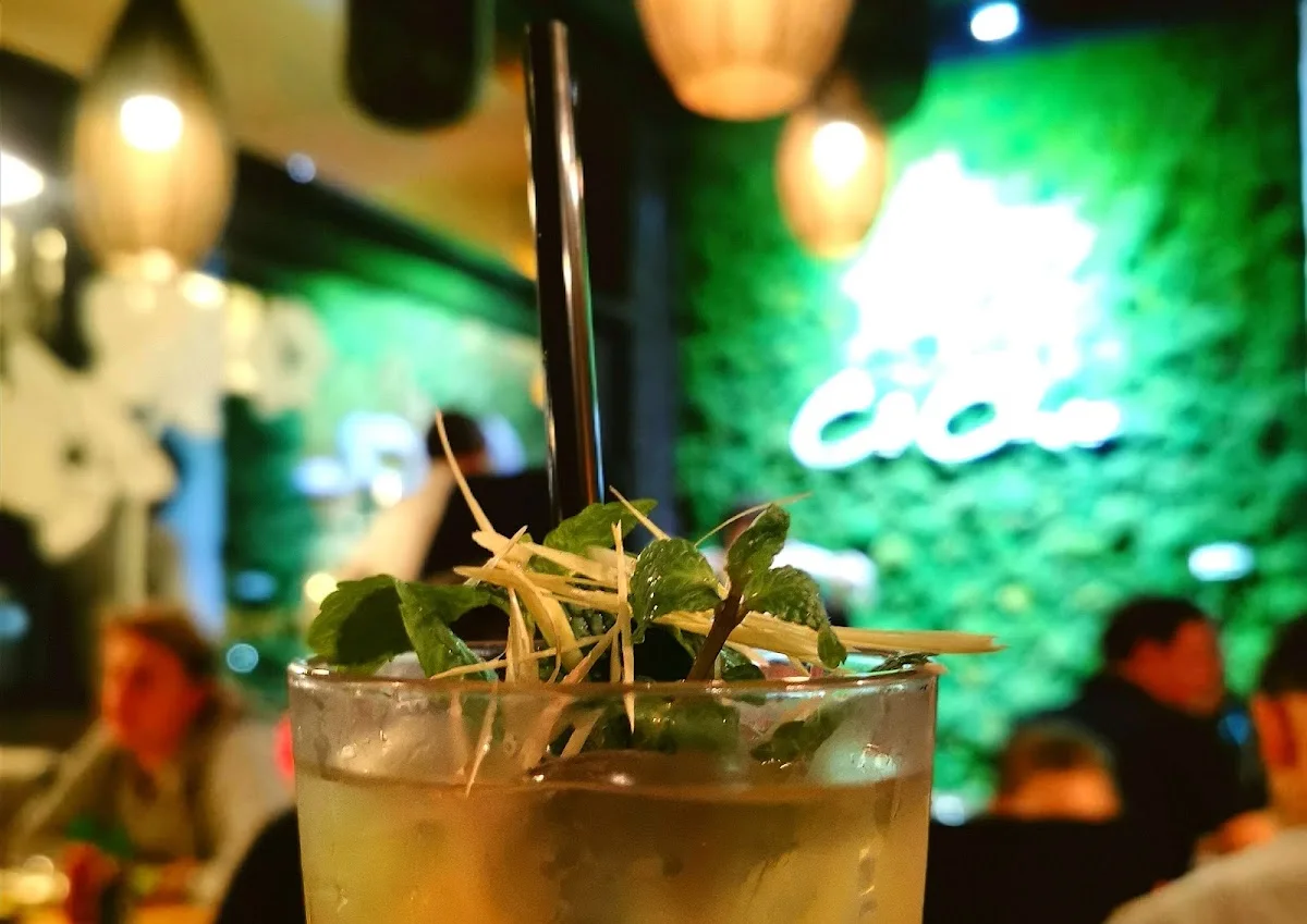 Cô Chu – Mojito in Berlin