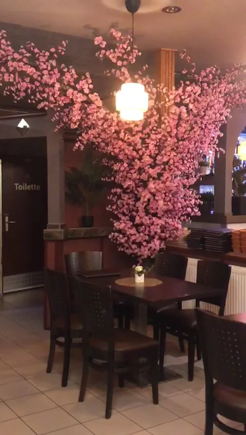 KYUSHU ASIACUISINE & SUSHI – Vietnamesisches Restaurant in Brandenburg an der Havel, Brandenburg