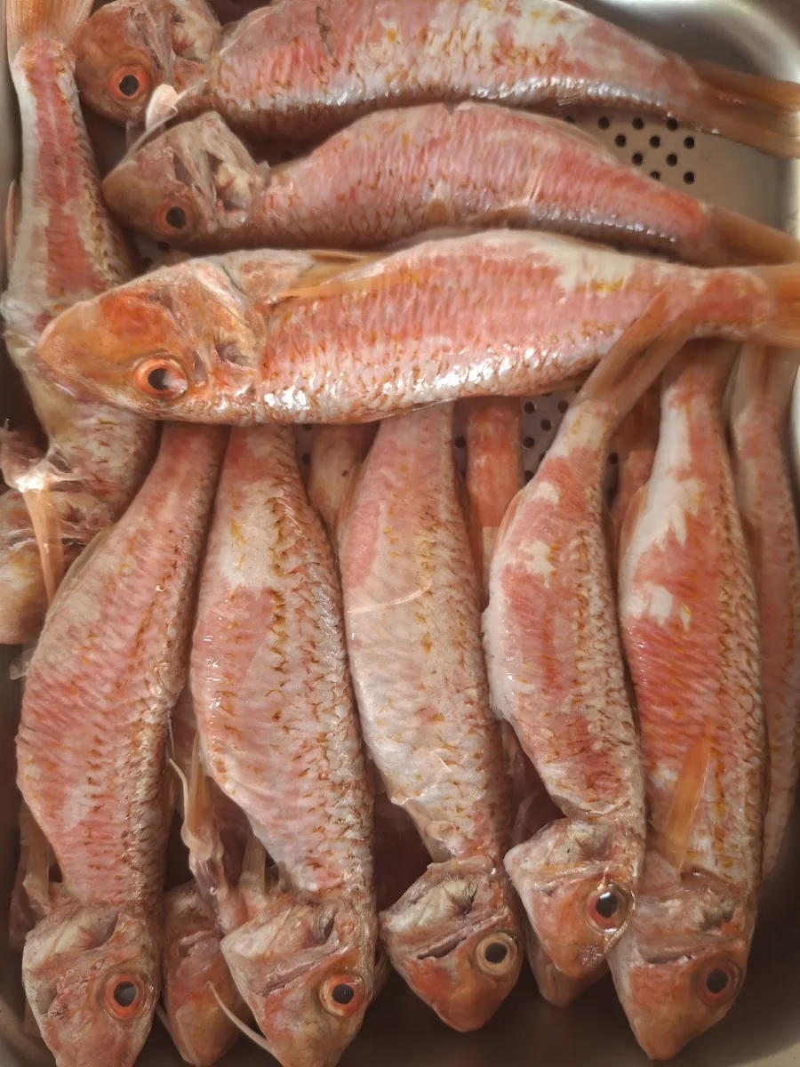 Porto Elia – Speisefisch in Stuttgart, Baden-Württemberg