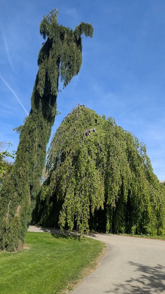 Hohenheimer Gärten – Besucherfoto von Stephan Winterhalder in Stuttgart, Baden-Württemberg