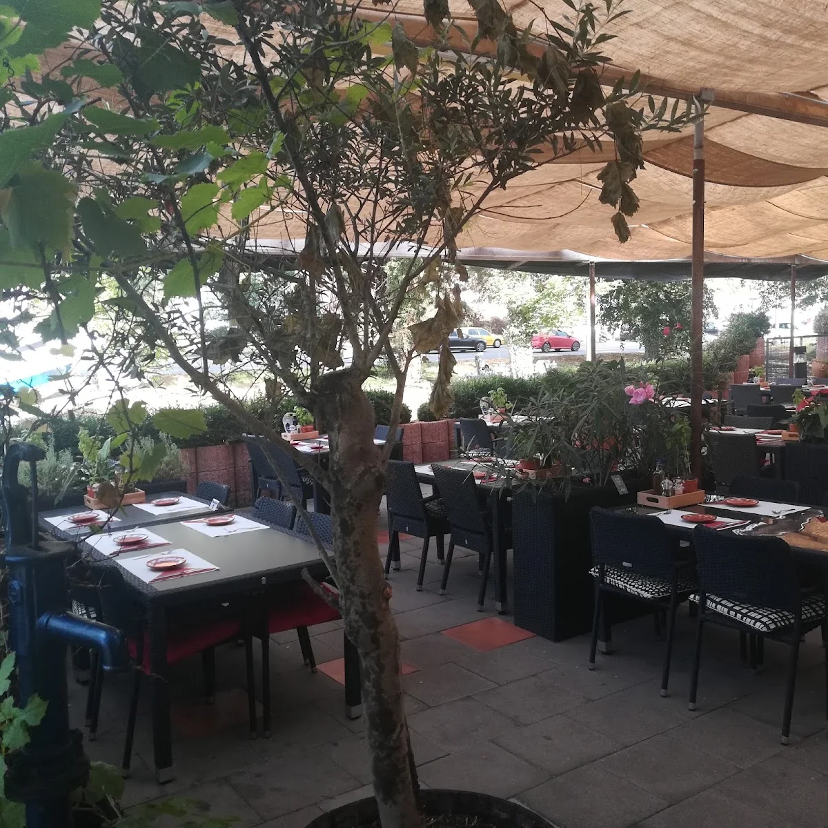 Restaurant Portugal – Atmosphäre in Bonn, Nordrhein-Westfalen