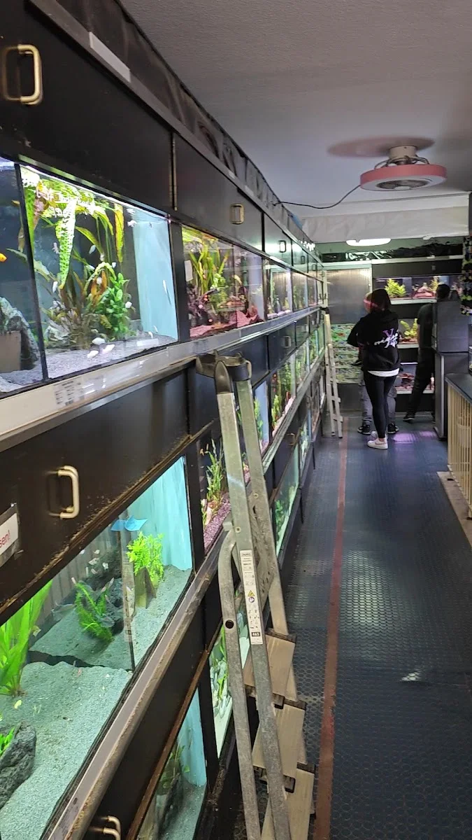 Zierfische Gottschalk Süß- und Meerwasseraquaristik – Aquarium in Neu Wulmstorf, Niedersachsen
