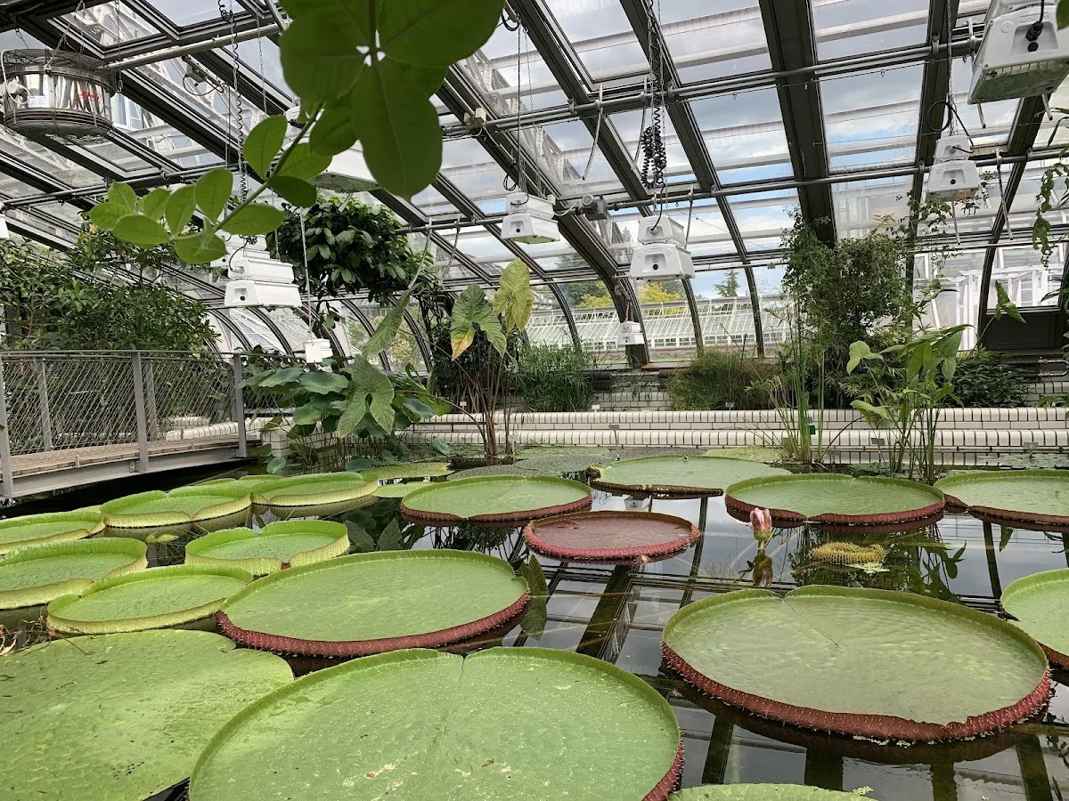 Botanischer Garten und Botanisches Museum – Profilfoto in Berlin