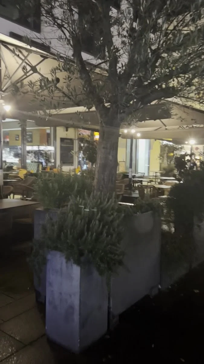 Restaurant Café Palladio – Italienisches Restaurant in Köln, Nordrhein-Westfalen