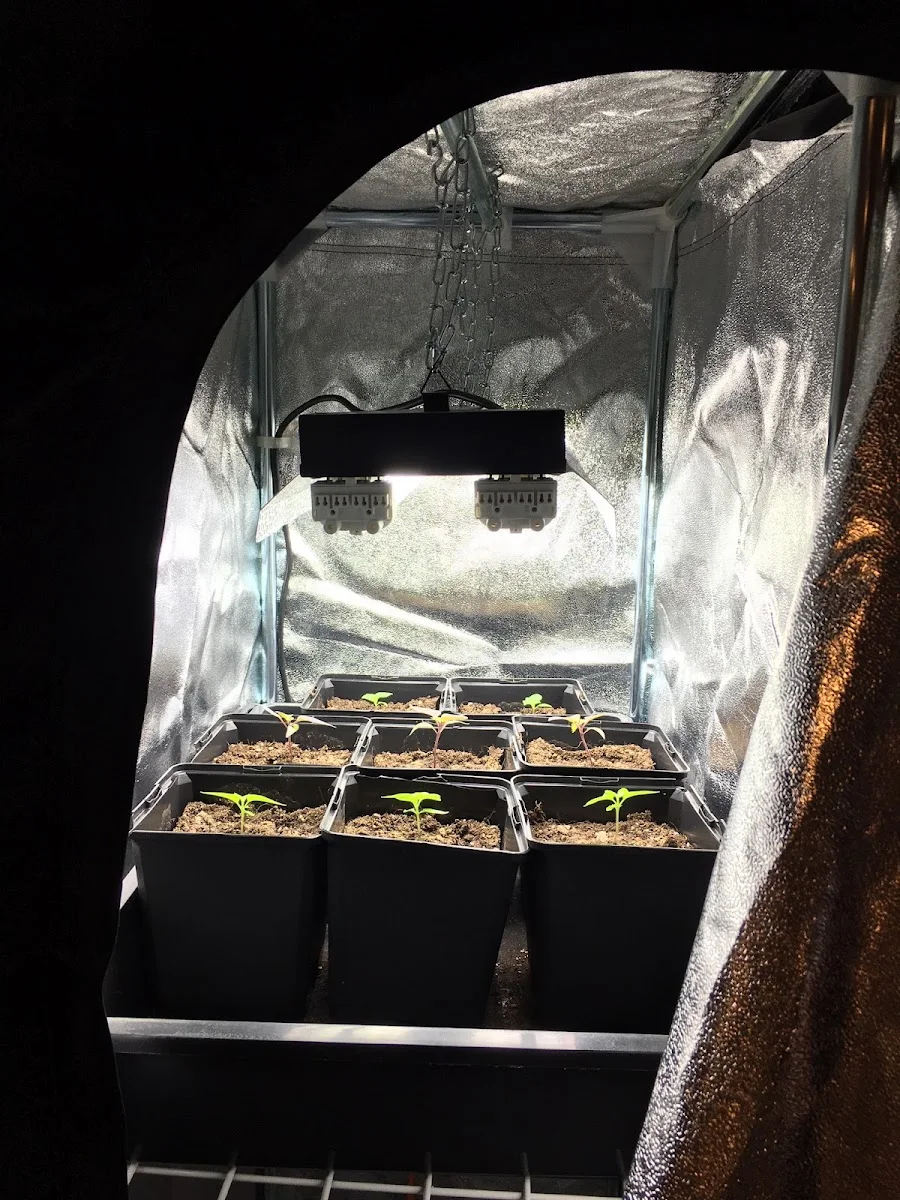 Growland - Dein Growshop – Vom Inhaber in Hamburg