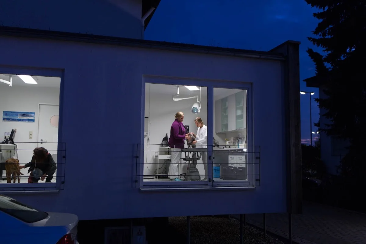 Kleintierpraxis Dr. Blendinger – Profilfoto in Hofheim am Taunus, Hessen