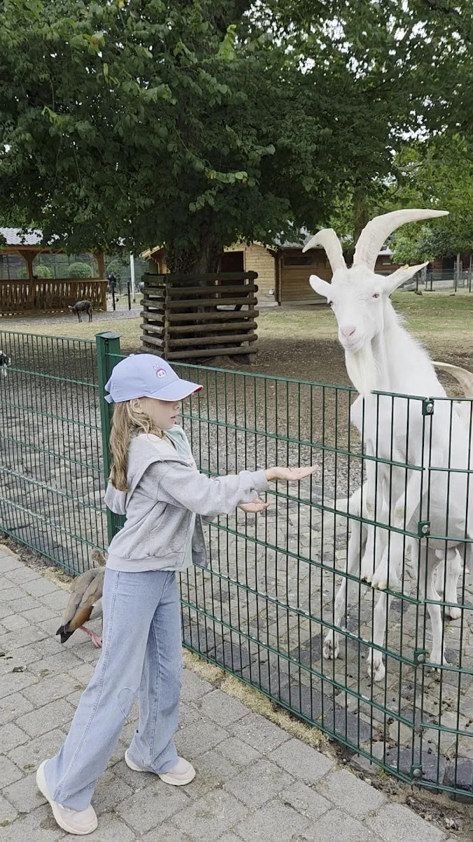Lindenthaler Tierpark – Park in Köln, Nordrhein-Westfalen