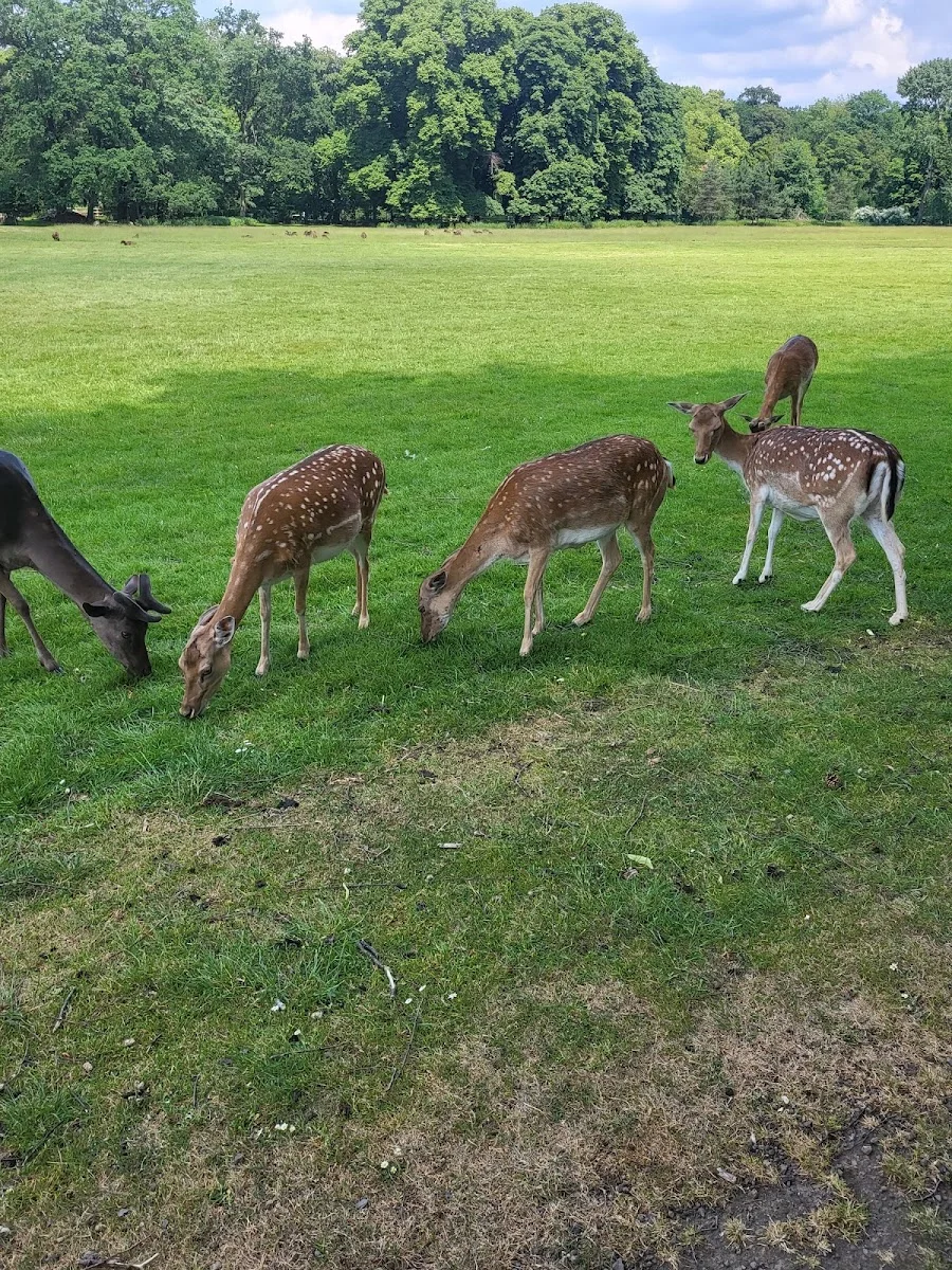 Lindenthaler Tierpark – Profilfoto in Köln, Nordrhein-Westfalen