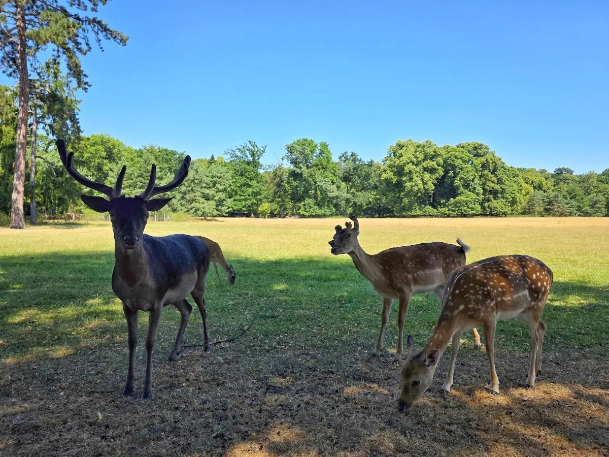 Lindenthaler Tierpark – Besucherfoto von André Klaholz in Köln, Nordrhein-Westfalen