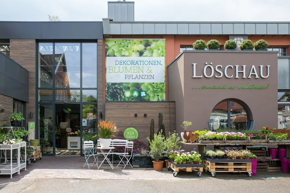 Löschau Dekoration, Blumen und Pflanzen, Raumbegrünung,Hydrokulturen – Profilfoto in Oldenburg (Oldenburg), Niedersachsen