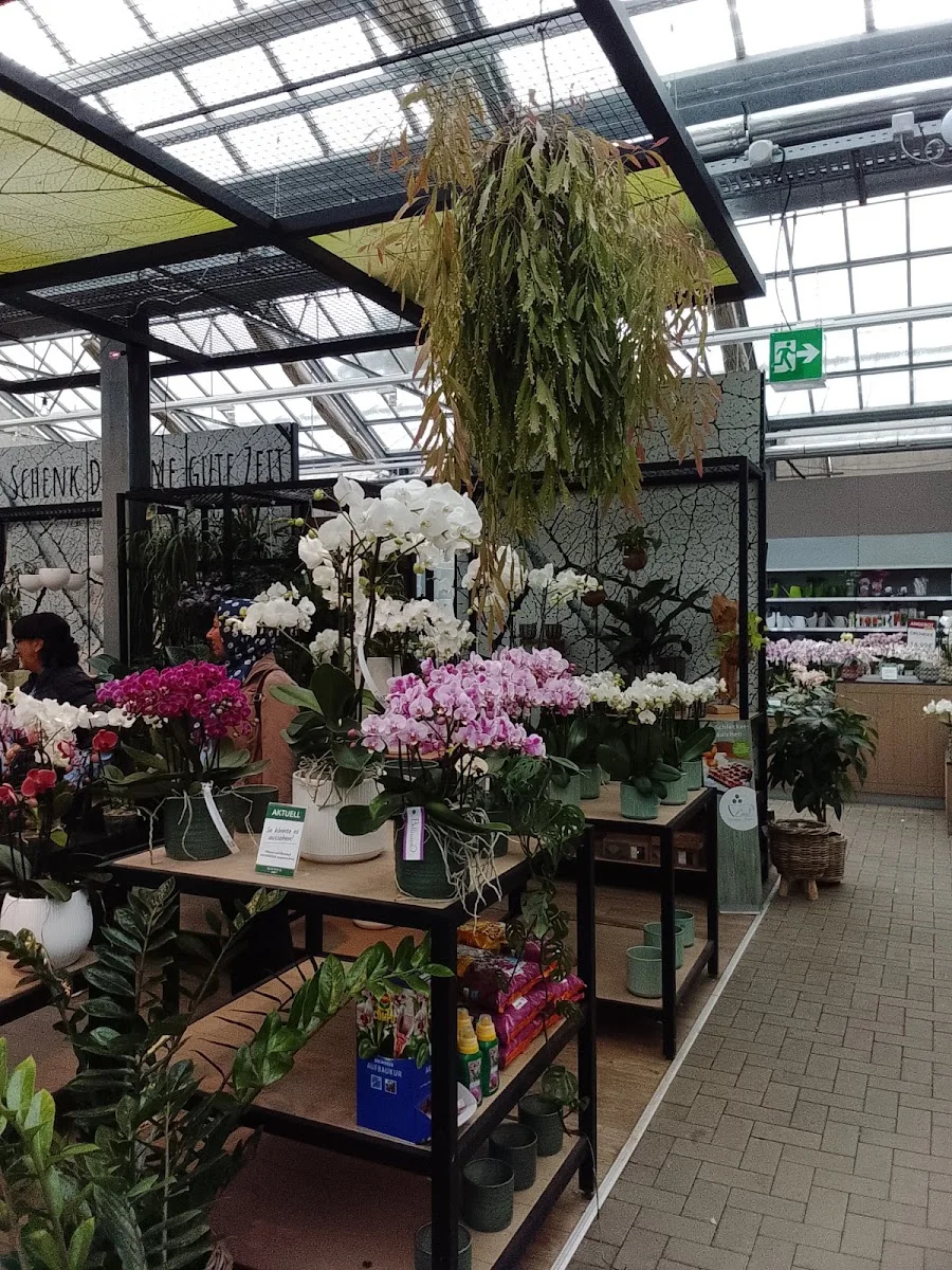 Gartencenter Rostock GmbH – Innenansichten in Elmshorn, Schleswig-Holstein