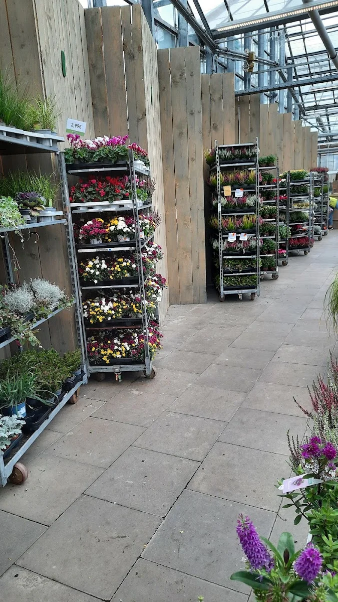 Gartencenter Rostock GmbH – Garten in Elmshorn, Schleswig-Holstein