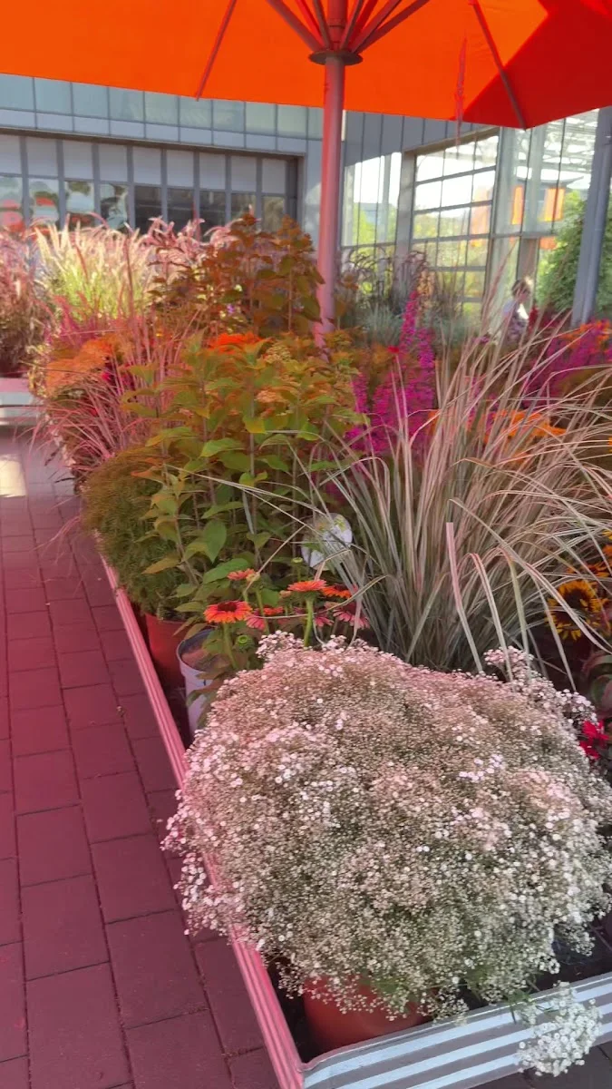 Sunflower Garten-Center – Restaurant in Frankfurt am Main, Hessen