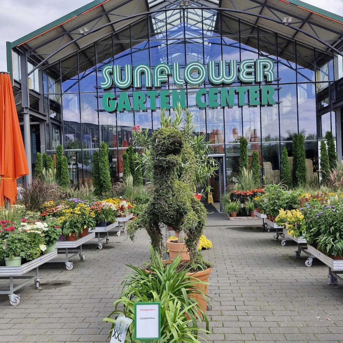 Sunflower Garten-Center – Profilfoto in Frankfurt am Main, Hessen
