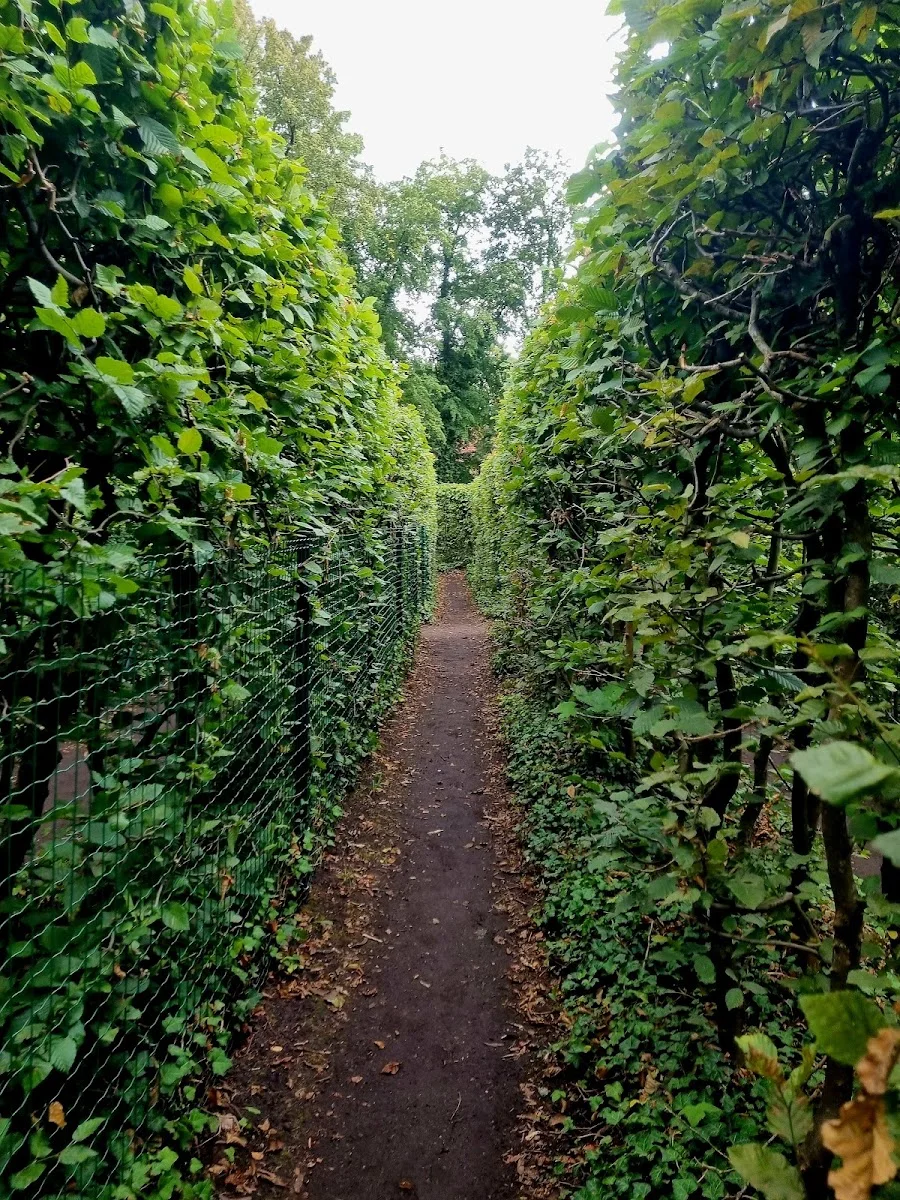 Irrgarten Altjeßnitz – Profilfoto in Altjeßnitz, Sachsen-Anhalt