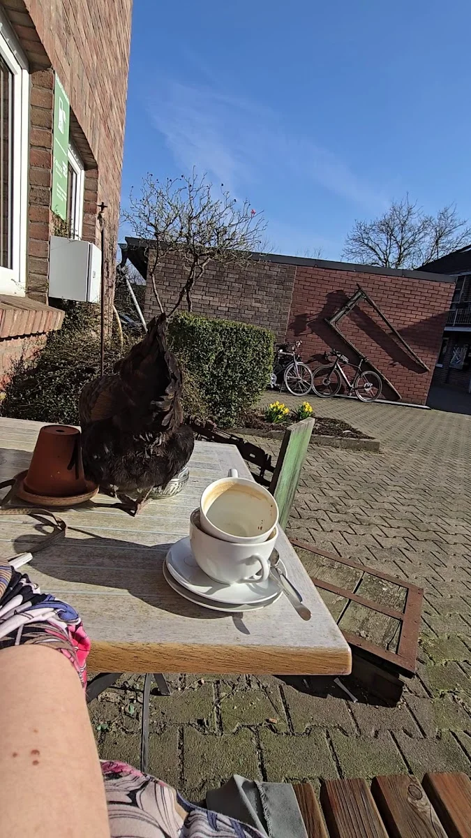 Wingertsches Erb GmbH – Café in Tönisvorst, Nordrhein-Westfalen