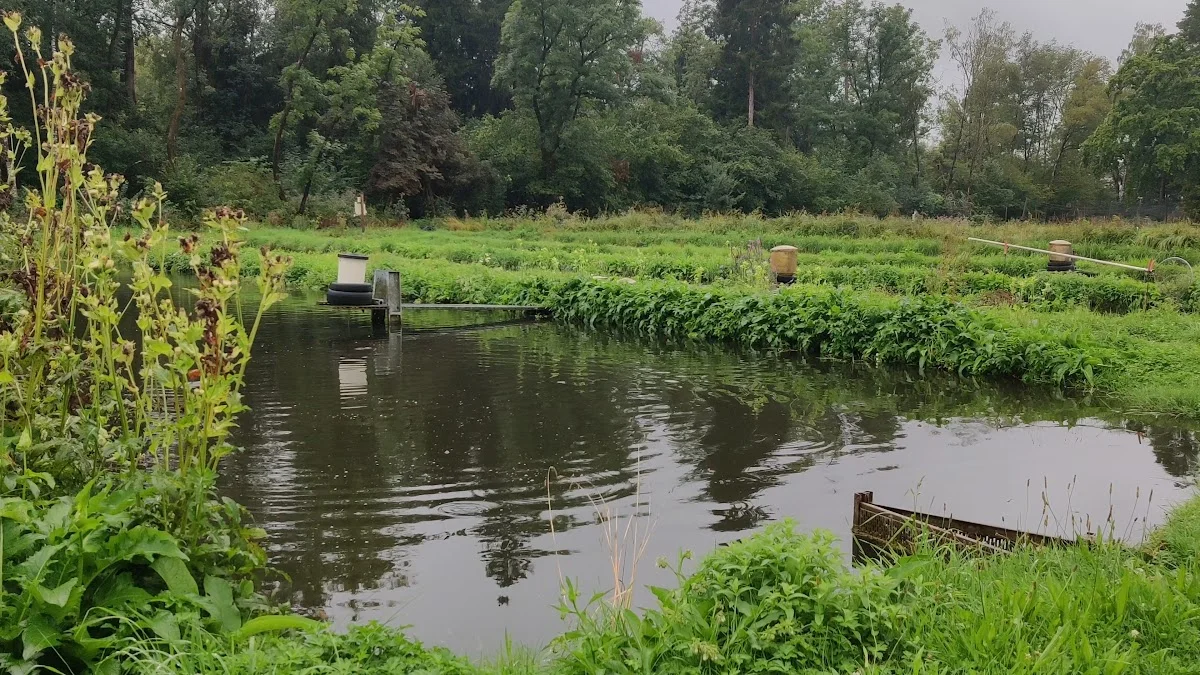 Fischgut Waldheim Angelweiher – Angelgeschäft in Bergkirchen, Bayern