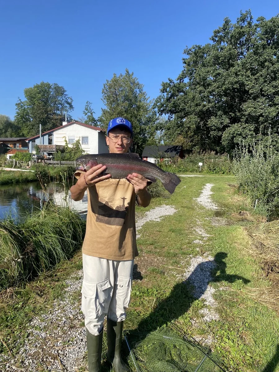 Fischgut Waldheim Angelweiher – Profilfoto in Bergkirchen, Bayern