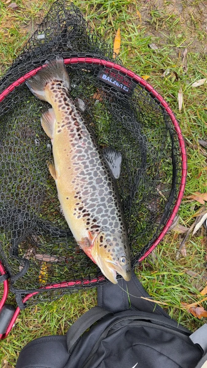 Fischgut Waldheim Angelweiher – Besucherfoto von Johannes Hümmer in Bergkirchen, Bayern