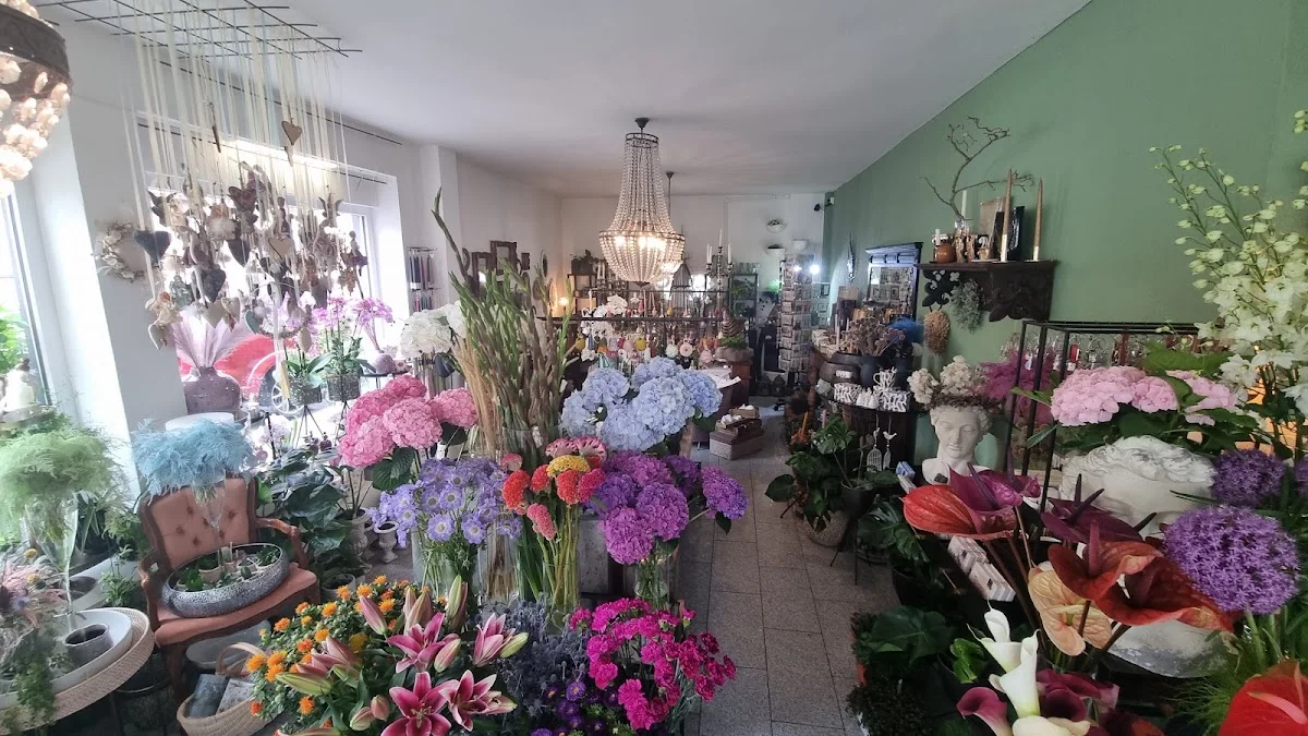 Rosenduft - Blumen & mehr – Besucherfoto: SanPablo Privat Account in Darmstadt, Hessen