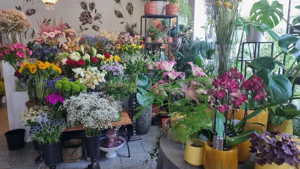 Rosenduft - Blumen & mehr – Besucherfoto: SanPablo Privat Account in Darmstadt, Hessen