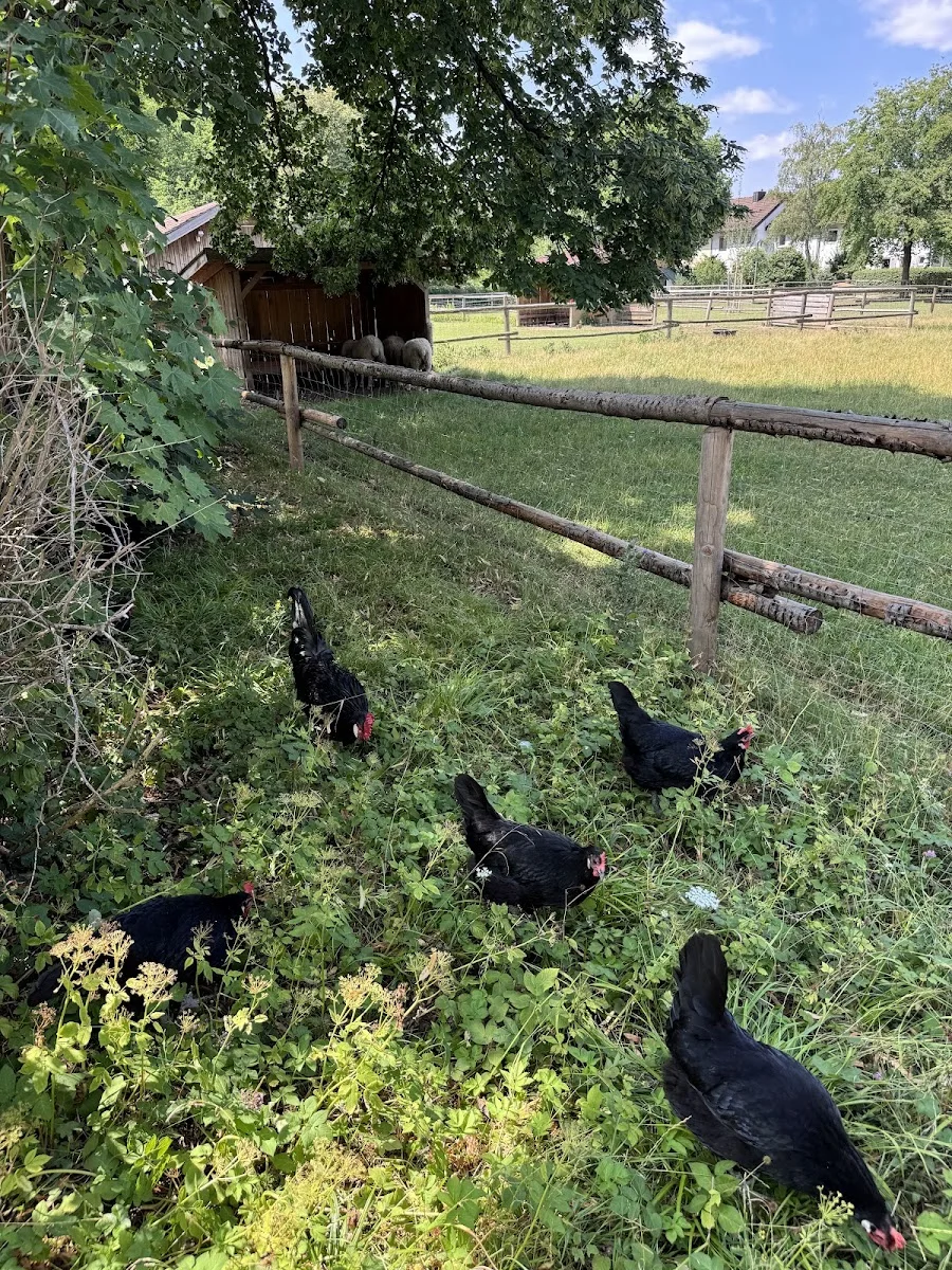 Umweltgarten – Sehenswürdigkeit in Neubiberg, Bayern