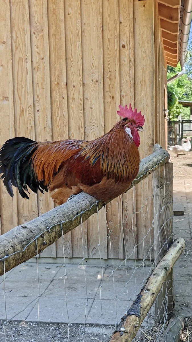 Umweltgarten – Besucherfoto von Nina G. in Neubiberg, Bayern