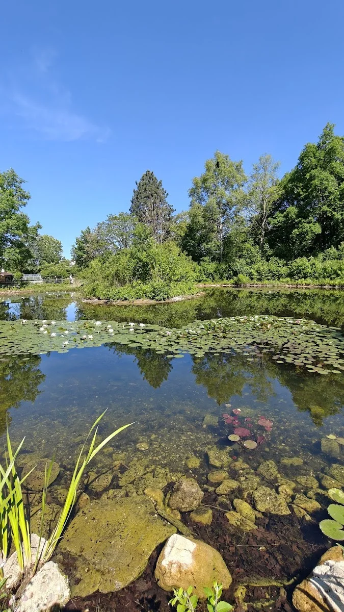 Umweltgarten – Besucherfoto von Nina G. in Neubiberg, Bayern