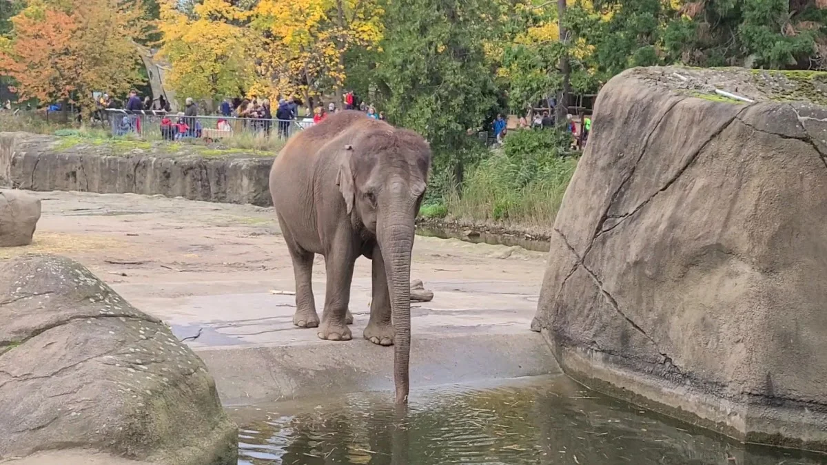 Kölner Zoo – Sehenswürdigkeit in Köln, Nordrhein-Westfalen