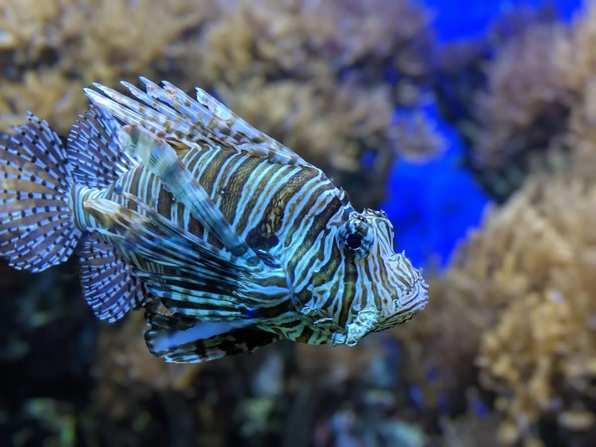 Kölner Zoo – Terrarium & Insektarium in Köln, Nordrhein-Westfalen
