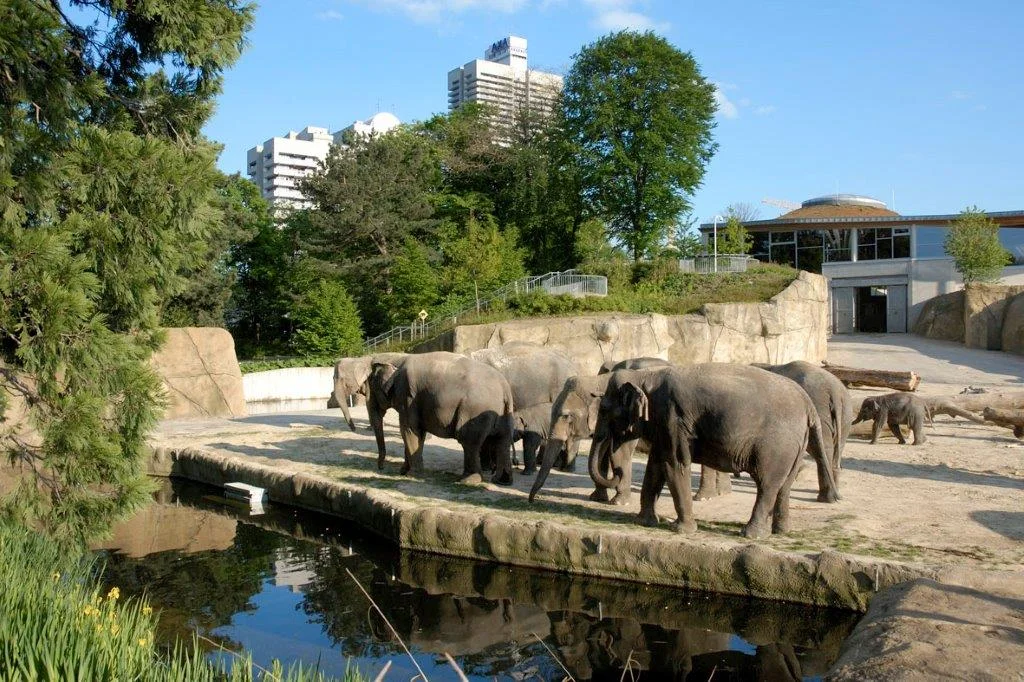 Kölner Zoo – Profilfoto in Köln, Nordrhein-Westfalen